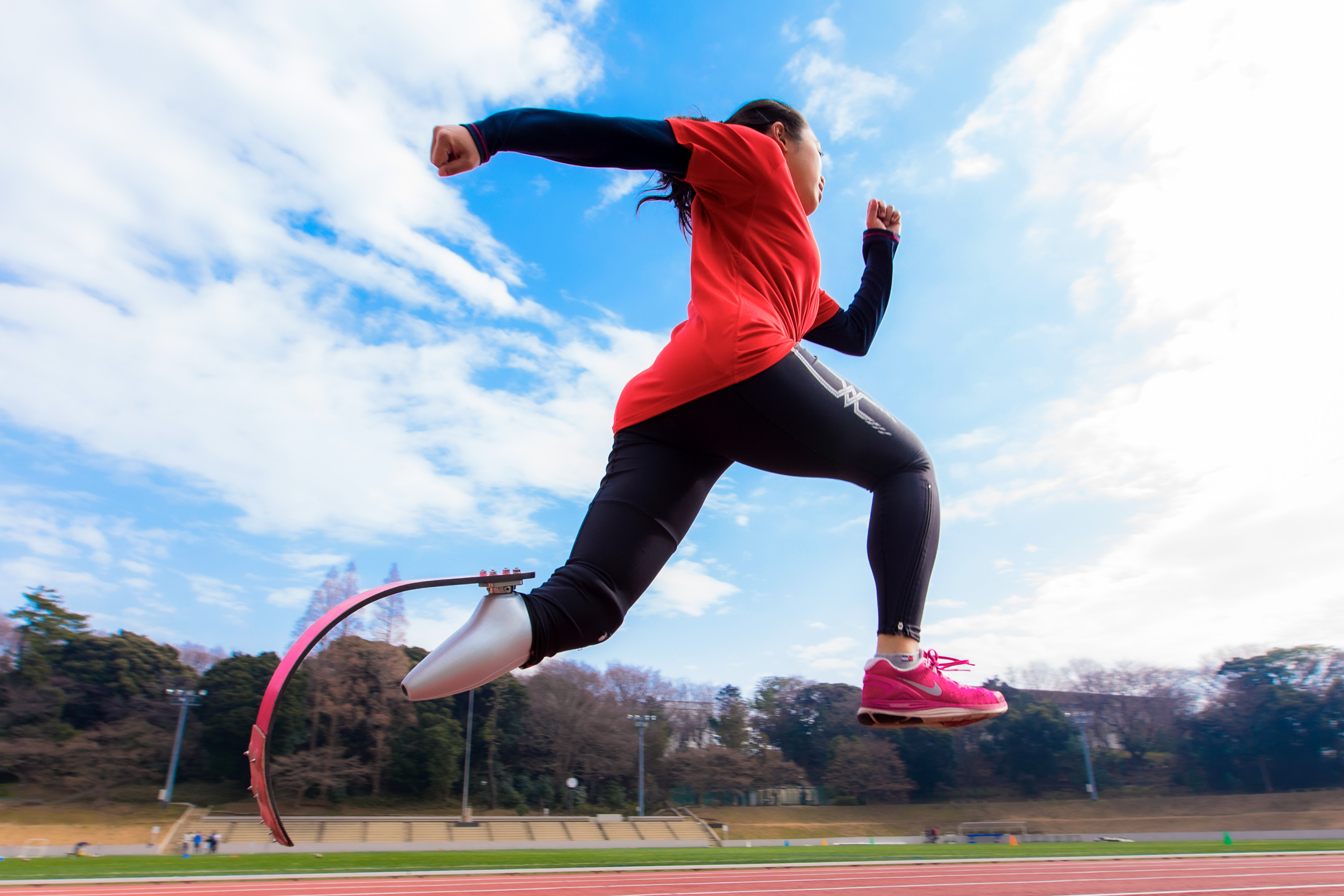 切断ヴィーナスイメージ
